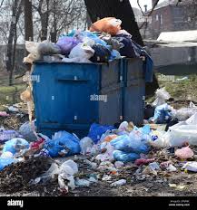 Best Dumpster Rental Services  in Cobden, IL