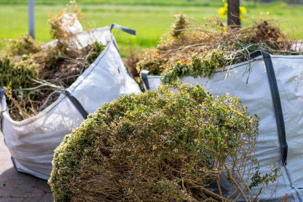 Best Residential Junk Removal  in Cobden, IL